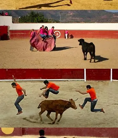 Appartamento Puerta Zamora, Centro, Wifi Con Salon Y 2 Dormitorios, Parking Salamanca