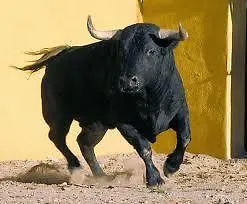 Puerta Zamora, Centro, Wifi Con Salon Y 2 Dormitorios, Parking Apartman Salamanca